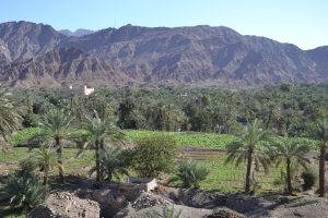 Fujairah landscape